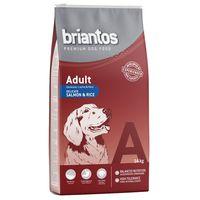 14kg Briantos Dry Dog Food + Barkoo Dental Snacks Free!* - Adult Active Chicken & Rice (14kg) + 7 Medium Chews