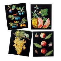 20 Studies of Fruit Cards