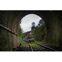 5-Tunnel Forgotten Railway Adventure from Taumarunui