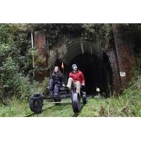 5-Tunnel Rail Bike Tour from Taumarunui