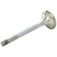 AE V91970 Exhaust Valve