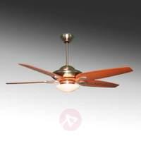 Altara - ceiling fan with five wooden blades