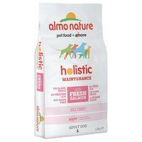 Almo Nature Holistic Dog Food - Large Adult Salmon & Rice - Economy Pack: 2 x 12kg