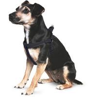 Ancol Nylon Padded Dog Harness Black