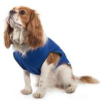 Ancol Blue Dog Cooling Vest