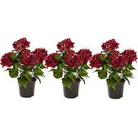 Artificial Hydrangea in a Pot (3 - SAVE £5)