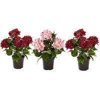 Artificial Hydrangea in a Pot (3 - SAVE £5)