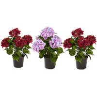 Artificial Hydrangea in a Pot (3 - SAVE £5)