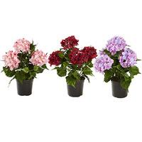 Artificial Hydrangea in a Pot (3 - SAVE £5)