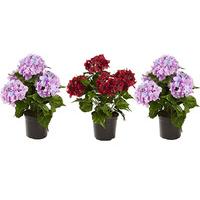 Artificial Hydrangea in a Pot (3 - SAVE £5)