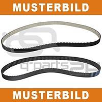 AVX13x1693 Continental Drive Belt Oe Quality