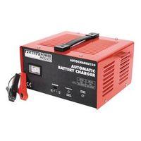 BATTERY CHARGER 12AMP24V - -