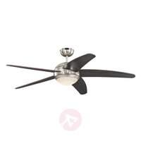 Bendan LED ceiling fan, wenge-coloured blades