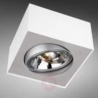 Bloq - ceiling spotlight with low voltage 1-bulb