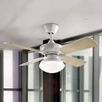 Bouvet - a classic fan with a light