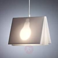 BookLight pendant light by Vincenz Warnke