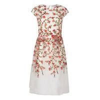 Body Frock Rose Dress