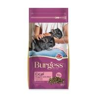 Burgess Excel Nuggets With Mint Chinchilla Food