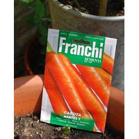 Carrot Nantese Of Venice Carrot approx 5400 seeds