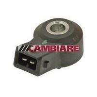 Cambiare Knock Sensor - VE369053