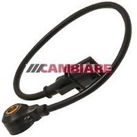 Cambiare Knock Sensor - VE369018