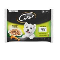 Cesar Pouch Deliciously Fresh Selection In Jelly Adult Dog Food