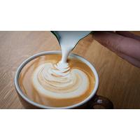 Coffee Barista Taster Course