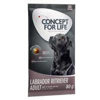 Concept for Life - 80g Trial Pack - Large Adult