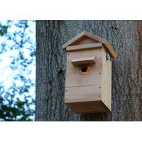 Colour Camera Nesting Box colour camera