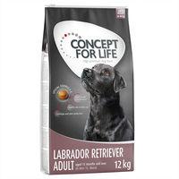 Concept for Life Labrador Retriever Adult - 12kg