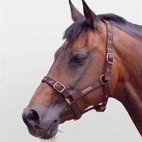 Cottage Craft Craft Adjustable Headcollar