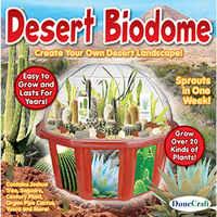 Desert Biodome Terrarium