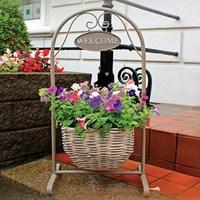 Deluxe Petunia Welcome Basket