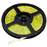 Deltech 4.8W 5M Dimmable LED Strip - Yellow