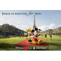 Disneyland® Paris - 1 Day / 2 Park + Cruise - Adult for the price of a Child