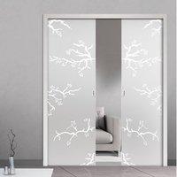 Eclisse 10mm Rosapesco Sandblasted Design on Clear or Satin Glass Double Pocket Door