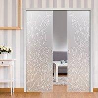 Eclisse 10mm Maylea Sandblasted Design on Clear or Satin Glass Double Pocket Door