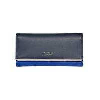 Fiorelli Addison Fra Purse