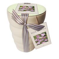 Freesia And Ceramic Pot Gift Set Gift Set gift set