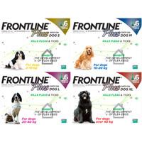 Frontline Plus Flea & Tick Spot On Dog