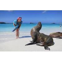 Galapagos Top Excursions Pass