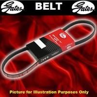 Gates 5PK803 V-Ribbed Belts