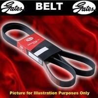 Gates 6PK2253 V-Ribbed Belts