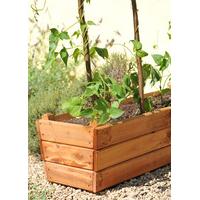 Golden Larch Deep Planter