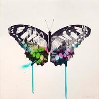 Graffiti Butterfly By Donk