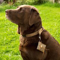 Harris Tweed Orange Dog Poo Bag Holder