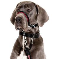 Halti Optifit Dog Headcollar