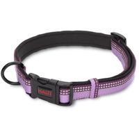 Halti Dog Collar Purple