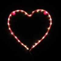 Heart Pink Nylon Light