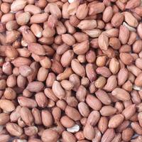 Honeyfields Premium Peanuts